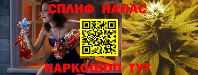 крисы Краснознаменск