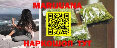 крисы Краснознаменск