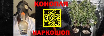 крисы Краснознаменск