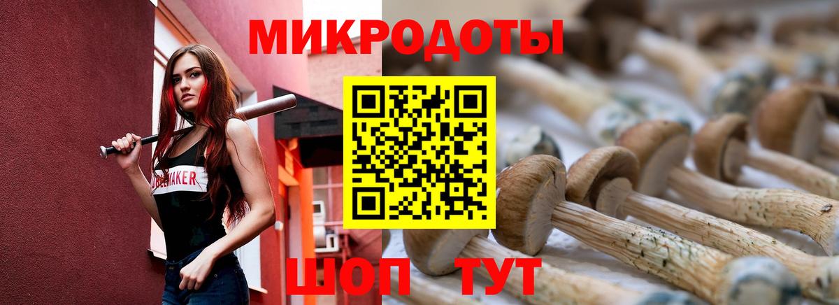 Киселёвск  Галлюциногенные грибы Cubensis  Вход с VPN  Псилоцибиновые грибы мухоморы 